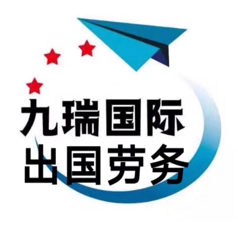 黑龙江九瑞国际信息咨询服务有限公司的图标