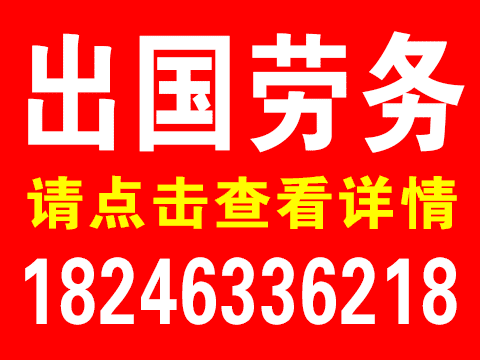 出国劳务的图标