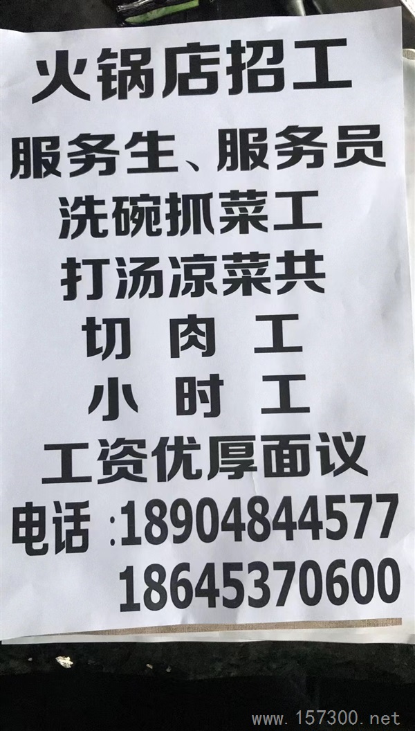 保定人力资源市场动态分析