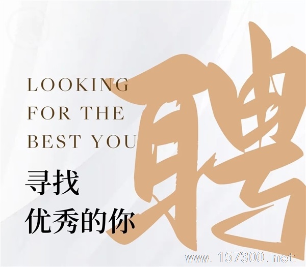 财务综合岗